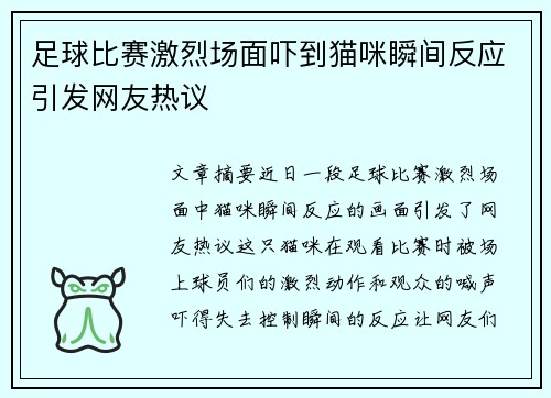 足球比赛激烈场面吓到猫咪瞬间反应引发网友热议