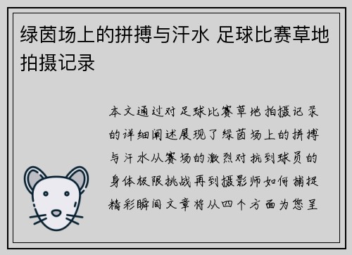 绿茵场上的拼搏与汗水 足球比赛草地拍摄记录