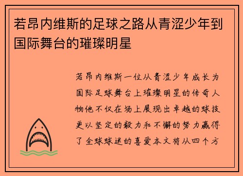 若昂内维斯的足球之路从青涩少年到国际舞台的璀璨明星