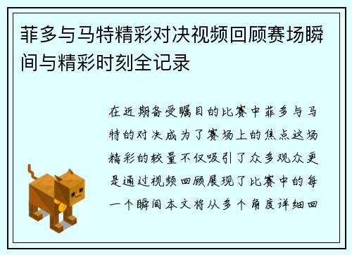 菲多与马特精彩对决视频回顾赛场瞬间与精彩时刻全记录