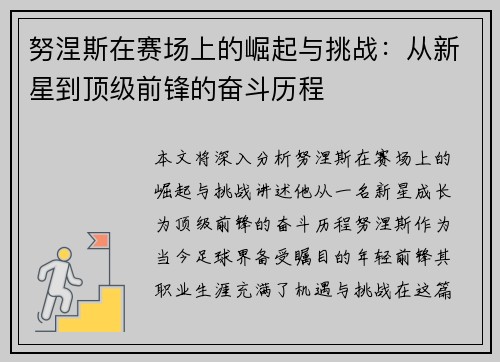 努涅斯在赛场上的崛起与挑战：从新星到顶级前锋的奋斗历程