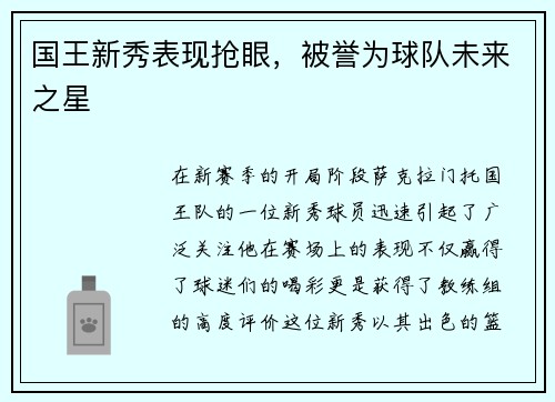 国王新秀表现抢眼，被誉为球队未来之星